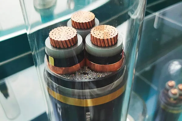 व्यापक सेवा समर्थन