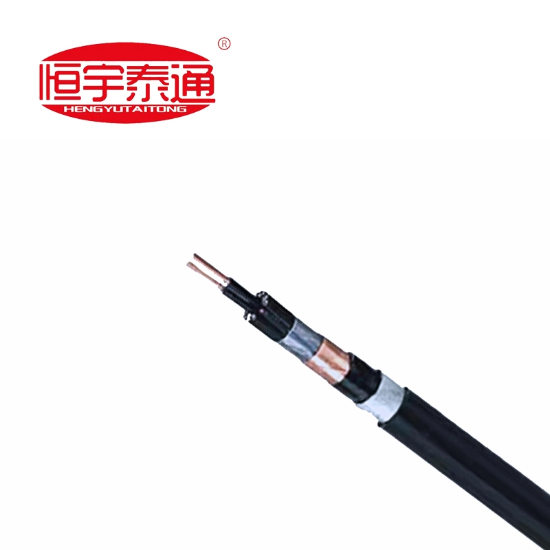 फ्लोरोप्लास्टिक इन्सुलेटेड गर्मी प्रतिरोधी विशेष केबलहरू